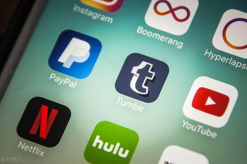 軟件開發(fā)過程的關(guān)鍵步驟與信息咨詢服務(wù)的融合實(shí)踐